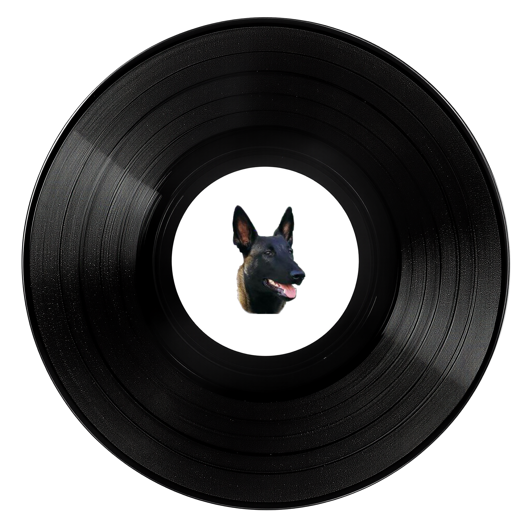 ElasticsRadio