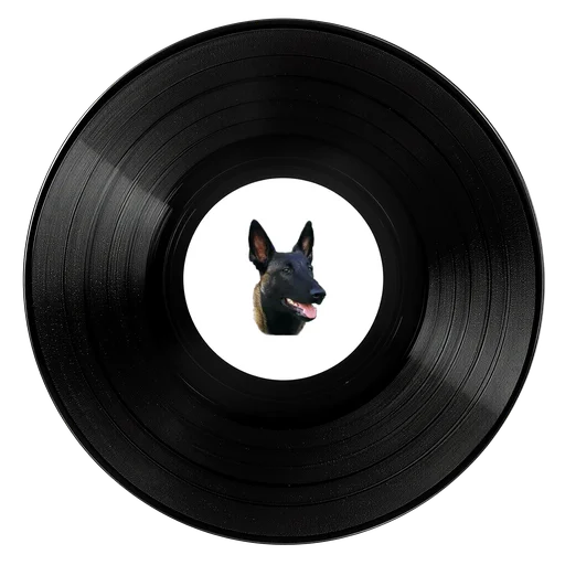ElasticsRadio Playing